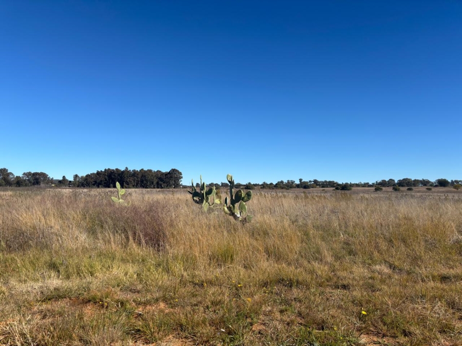 Commercial Property for Sale in Thaba Nchu Free State